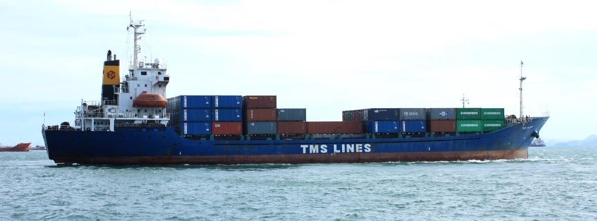 TMS Line Sees 35% Surge in Feeder Volume at Panjang Port on Export Boom